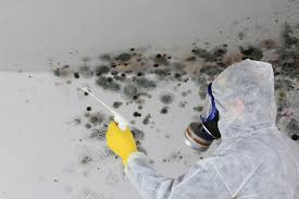 Best Real Estate Mold Inspection  in Eatonville, FL